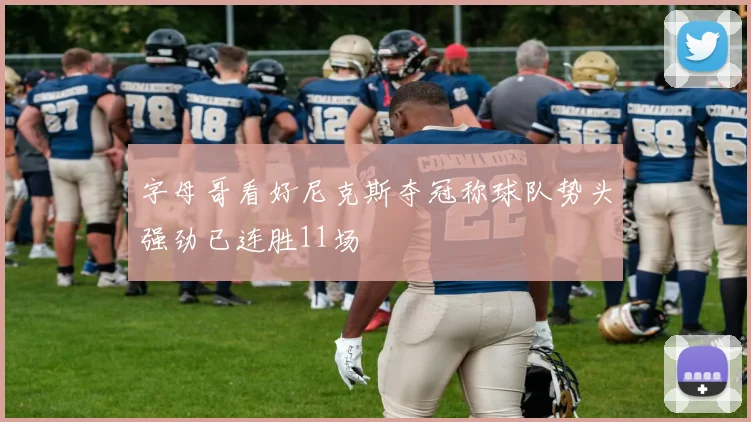字母哥看好尼克斯夺冠称球队势头强劲已连胜11场