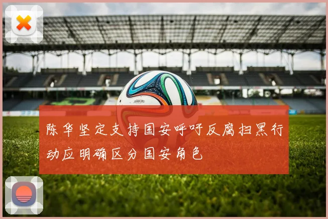 陈华坚定支持国安呼吁反腐扫黑行动应明确区分国安角色